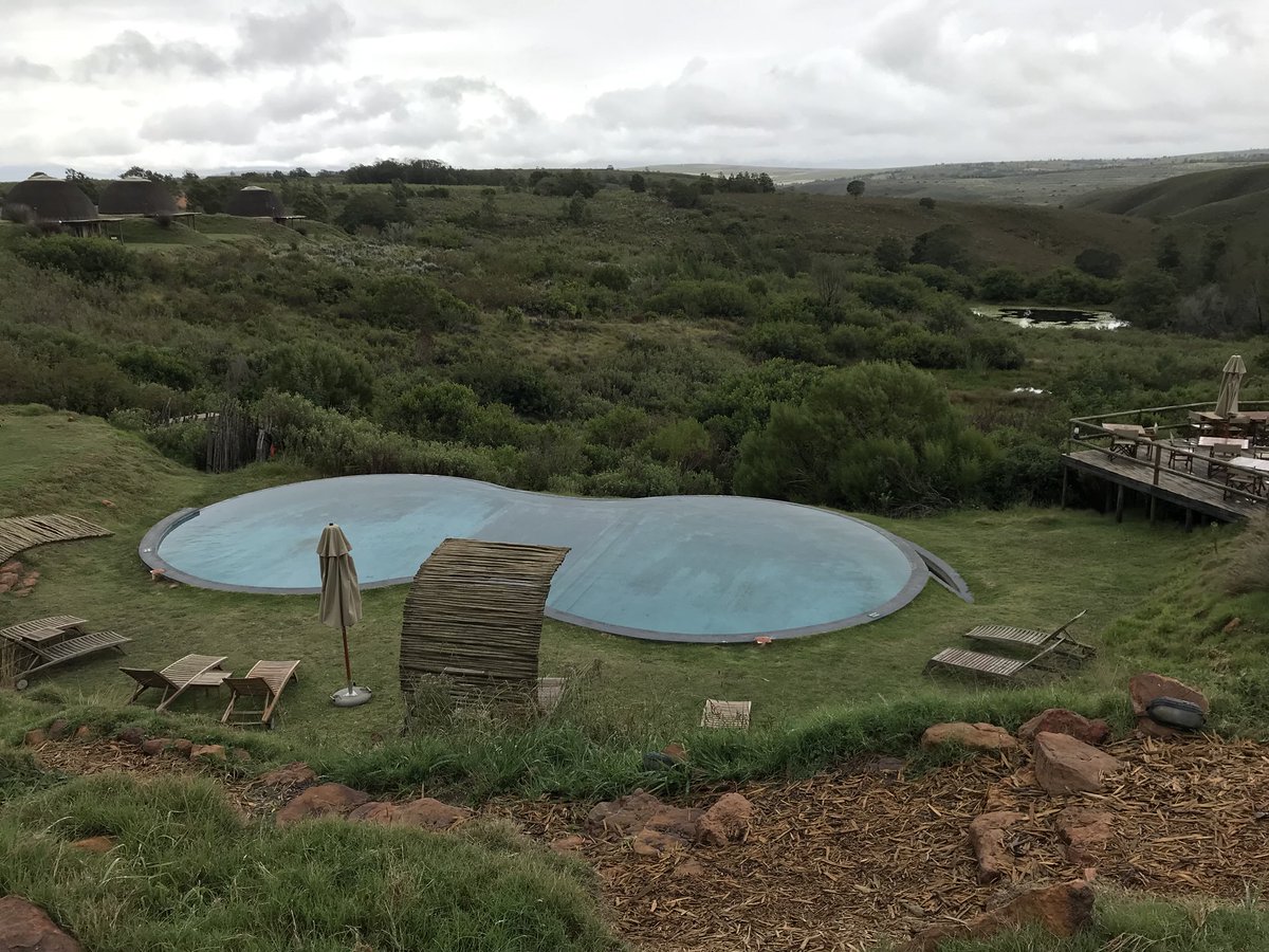 JoaSouth's tweet photo. Day 8: 5* Game lodge? Oh go on then...! #Gondwana #big5 https://t.co/lv3XiDavgz