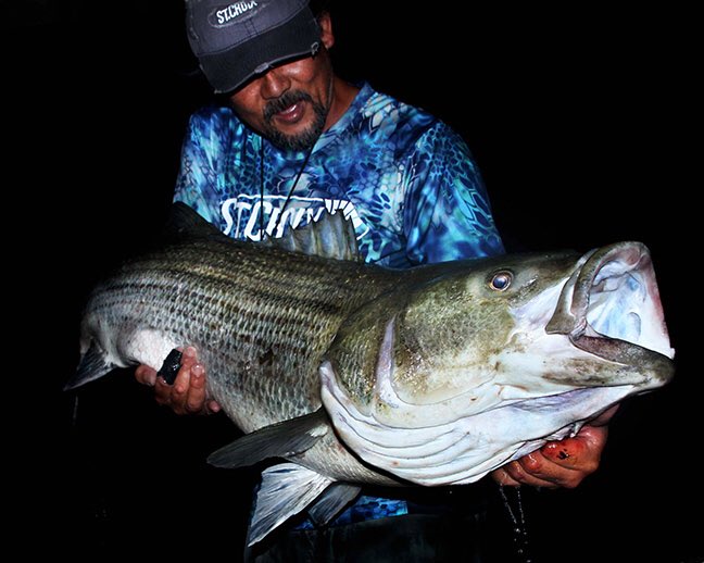 From shorts and t-shirts, to waders and insulated jackets, to a neoprene wet suit, “Crazy” Alberto Knie’s surf fishing wardrobe varies depending on where he’s standing. His is a diverse palette of briny addiction, but consistent is his reliance on St. Croix Rods.