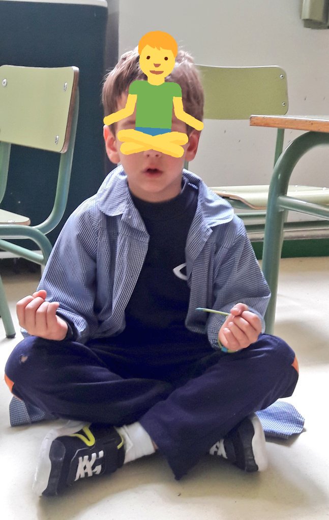 MissVirginiaT's tweet photo. Full attention at this time!! 🙏😍 #Mindfulness #AttitudeToLife #lotsofbenefits #5years #minisbernadettes @ColBernadette https://t.co/jWiC1RvQ7V