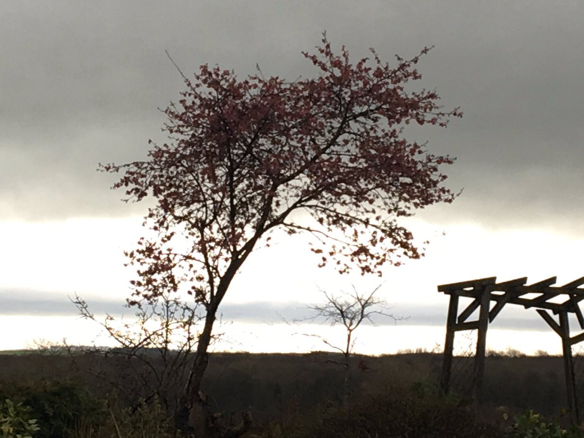 rattycastle's tweet image. #helmbar or #helmwind has returned  over #eastfellside 👿👿👿