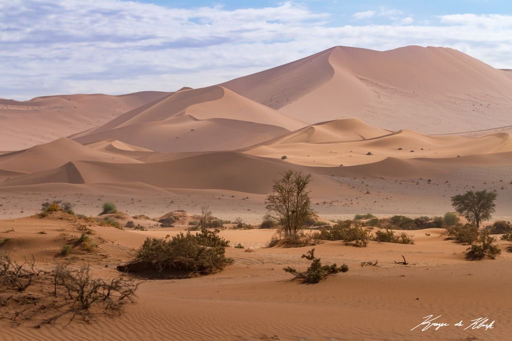 KDKPhotography's tweet photo. Dunes for Miles | Sesriem, Namibia
View my Namibia gallery here: https://t.co/DnuboeduAn
#desert #fortheloveofphotography #namibia #reddune #safari #wanderlust #wander #africa #bucketlist #wildlife #canon7d #teamcanon #explore #exploremore #travel #travelphotography https://t.co/pgOimpsxPy