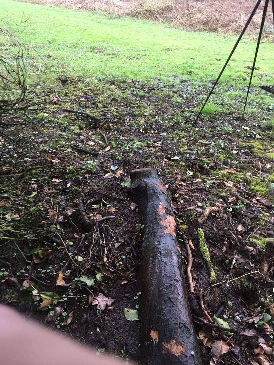 Alastair H-R | Tracker Al tweet media