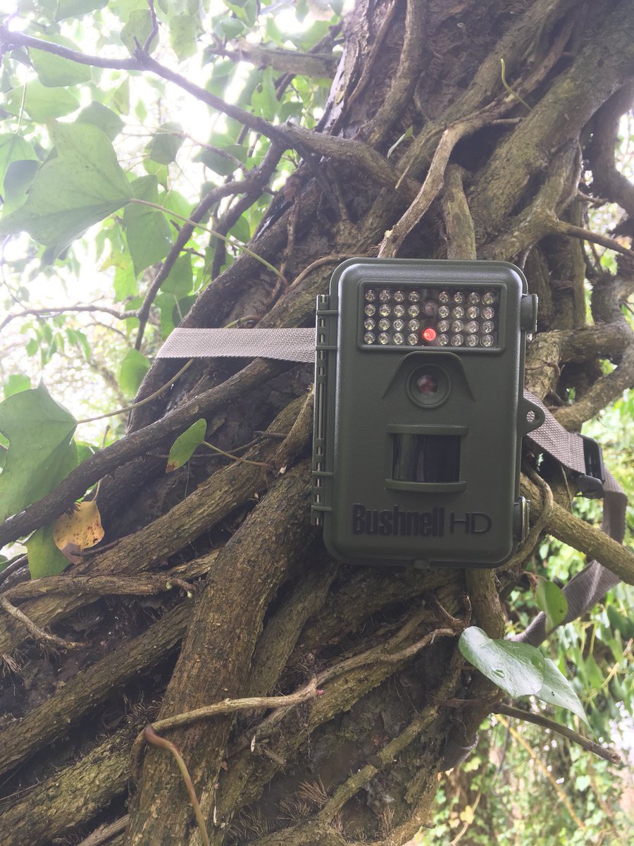 Alastair H-R | Tracker Al tweet media