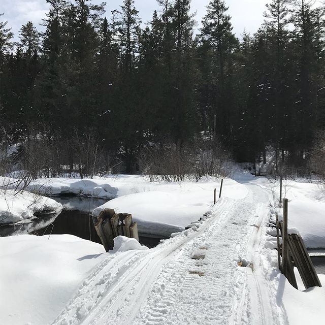 advjoe1's tweet photo. Enjoying some incredible spring snowmobiling just north of Algonquin Park
#stonecliffe #ofsc #missinglink #springsledding #advsnow #advsledder #advlife #winterfun #winteradventures #arcticcat #snowmobile #sledlife https://t.co/ePJ6KLPrcf https://t.co/iOZ9D7aumt