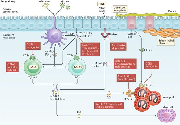 Nature Rev Immunol tweet media