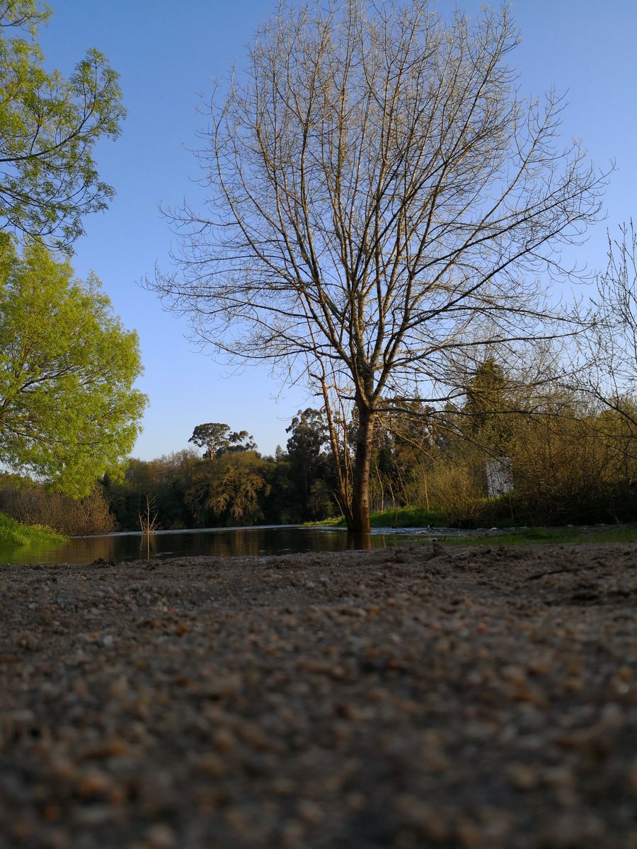 davidRCCV's tweet photo. Beleza natural. 
#Natureza #RioMiño #Caldelas #Tui #Pontevedra #BaixoMiño https://t.co/Jt0zs0tG3I https://t.co/ziPZ2dUKGT
