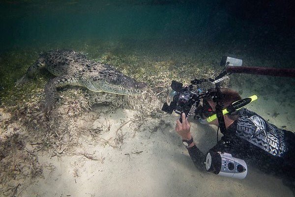 BoaterBrand's tweet photo. Would you go #Scuba diving in the #Mayan Cenotes hold?
.
.
.
 #scuba #scubadiving #crocodiles #croc #mexico #photooftheday #lovediving #divingtrip #divingaroundtheworld #amazinglife #amazingdiving #boaterbrand #instapic #picoftheday #instagood #adventure https://t.co/yj7K4wotCs
