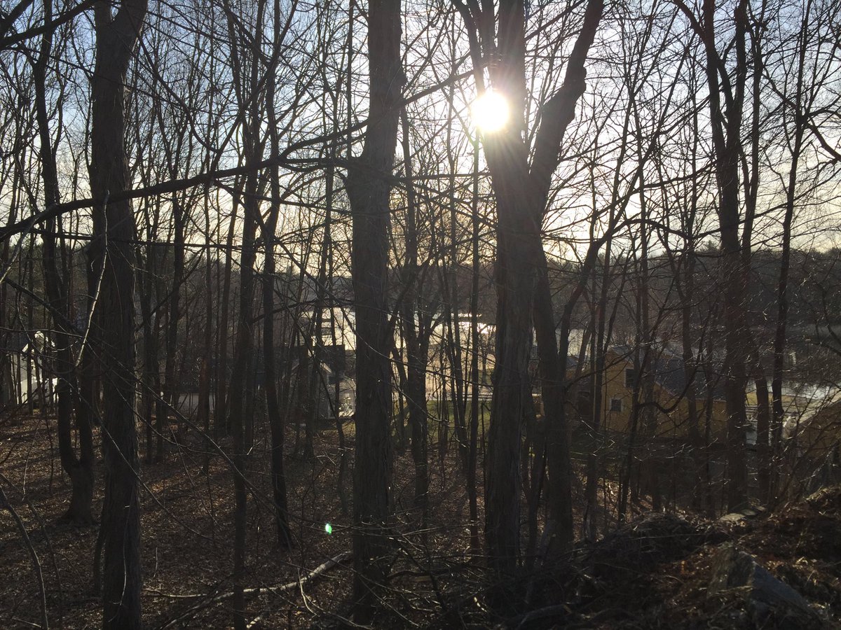 Jim Dean tweet media