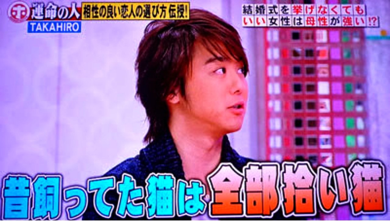 Twitter પર Exile Takahiro 昔飼っていた猫は みんな拾い猫 猫好き 猫好きの芸能人 猫が好きな芸能人 猫 を飼っている芸能人 猫を飼っていた芸能人 T Co Fxo7875cyy Twitter