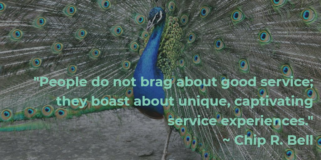 Value-added customer service is finite.
But, value-unique is infinite! 
I was fortunate to talk with <a href="/creativekitsune/">The Creative Kitsune 🦊</a> about value-unique #service in this @NCRSilver story bit.ly/2Eyu6CT