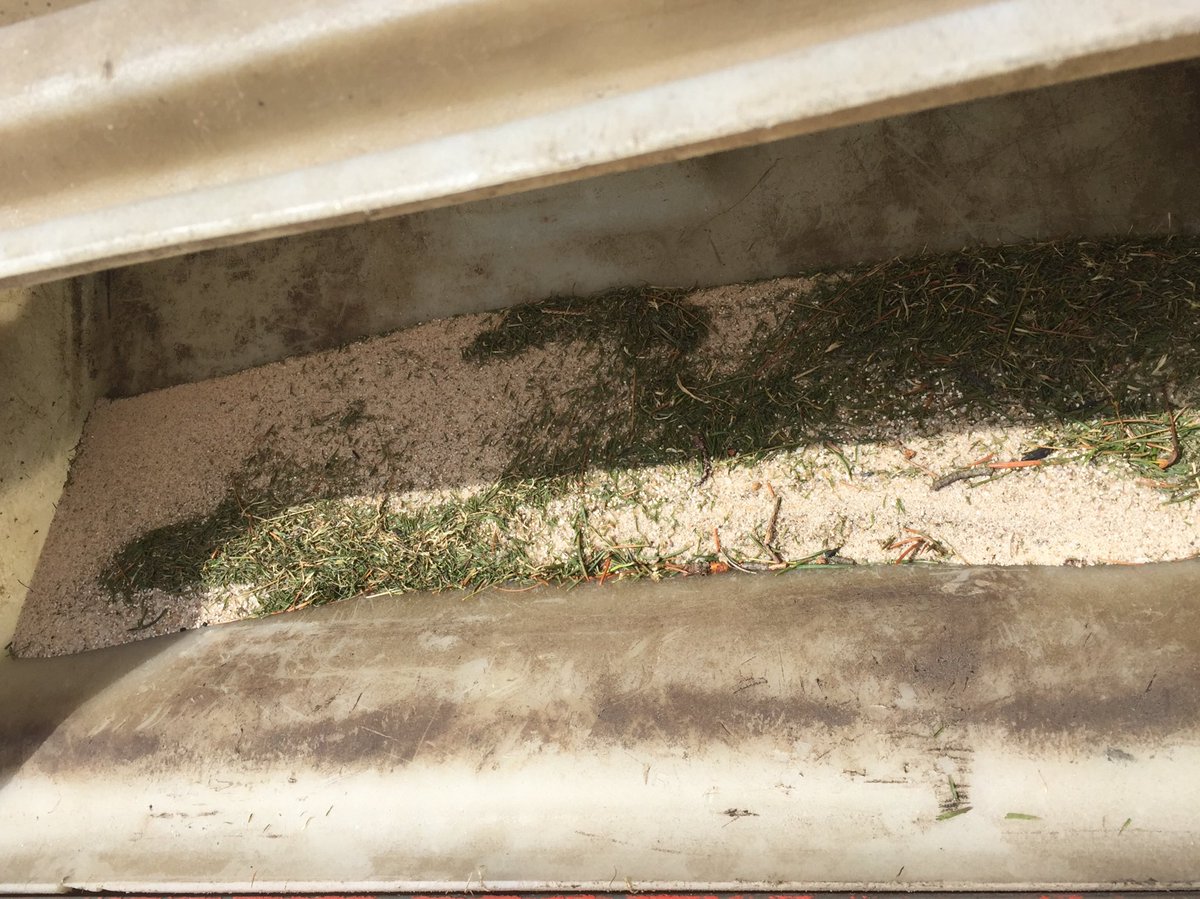 kempsuturf's tweet photo. Lots of sand with some clippings sprinkled in #paturf #topdressmower https://t.co/3nXKxw9xaZ