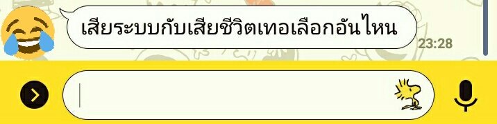 ˓ shihai ˒ tweet media