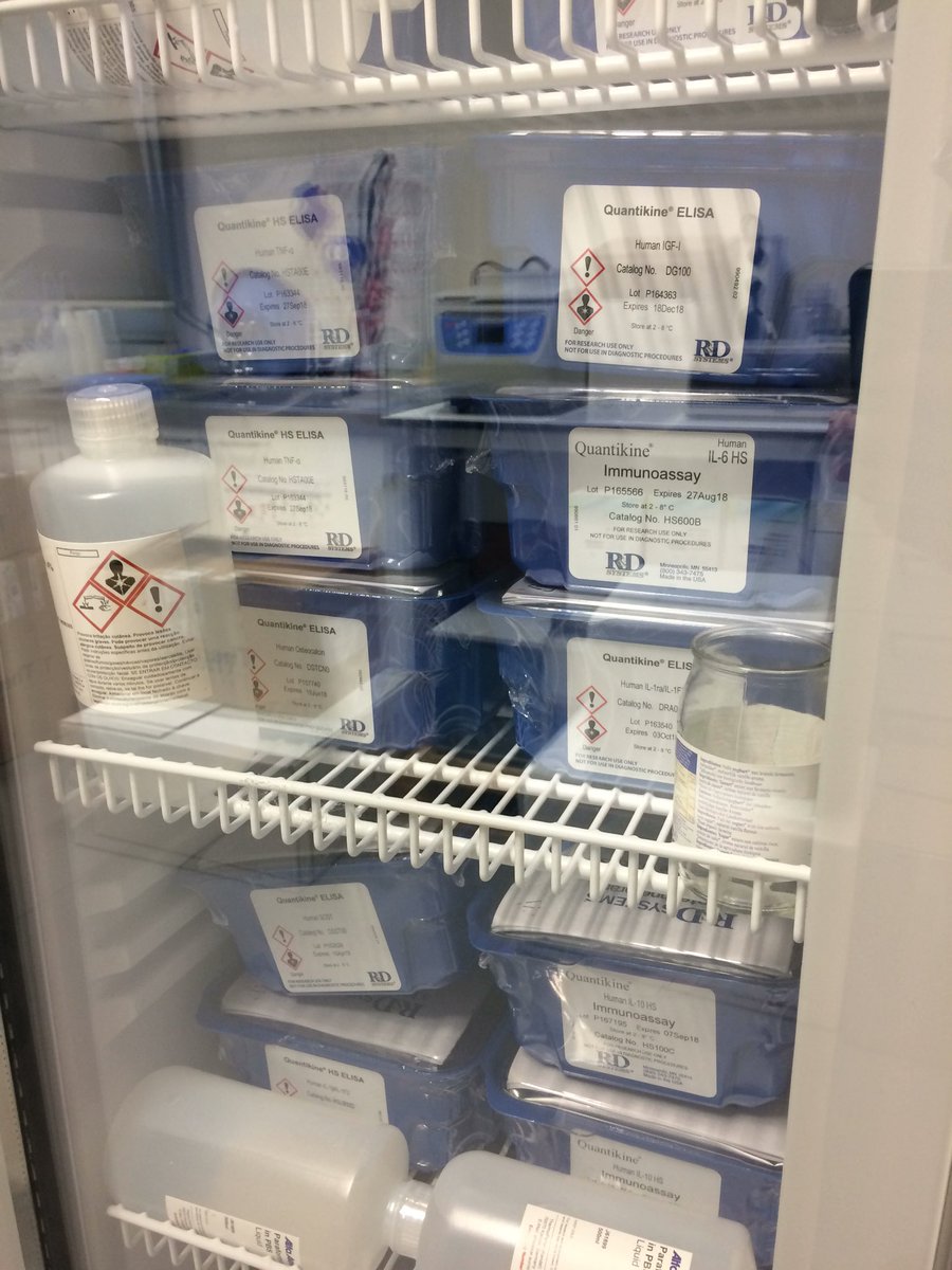 Diogo_Luis_Leal's tweet photo. Wet lab fridges are now full while we get ready to crack on with some endocrine and immune biomarkers analysis. @cidesd @cidesd_ismai https://t.co/cghP4nAY4t