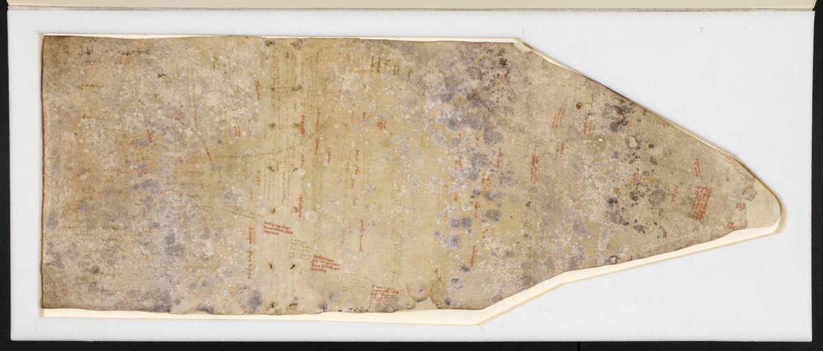 BL_prints's tweet photo. Fragment of a 14th-century English world map used as a cover for late-medieval records of a Norfolk estate. Though badly damaged it is of great interest, not least in its African place-names taken from an unidentified portolan chart #TravelTuesday https://t.co/wbwZ86dhQY https://t.co/GGvkJdSNKw