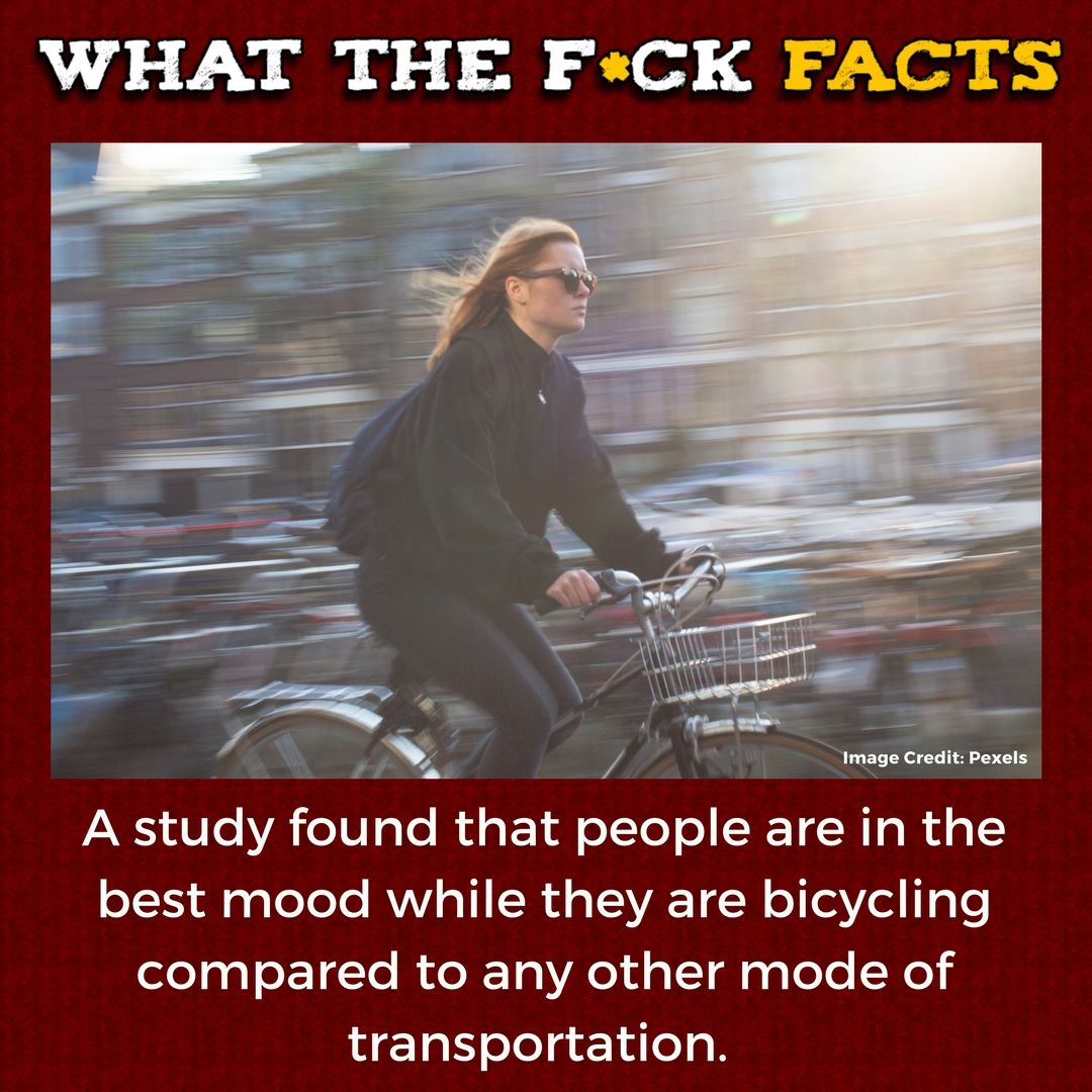 WhatTheFFacts's tweet photo. https://t.co/FelDGIBo08