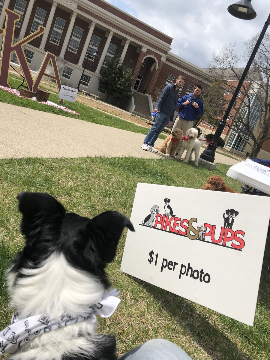 EKUPIKES's tweet photo. We’re between Combs and McGregor with our doggos until 4. Come see us and take a photo! Belly rubs are free of charge. #PikePups #PikeFC18 https://t.co/s9nYUnHTRo