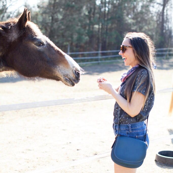 CourtneysQuirks's tweet image. My trip to Valentine Farm and all of the adorable friends I made 🐴💕 buff.ly/2Hl9fpG #ncblogger