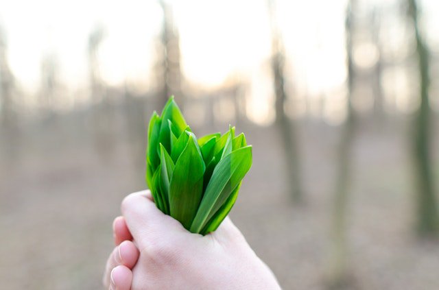 Did you know we offer a refill service? Small changes can make a big impact... @gps_bath <a href="/bathmarket/">Bath Farmers Market</a> #zerowaste #recycle #reduce #plasticfree  #savetheplanet limelightlimited.com