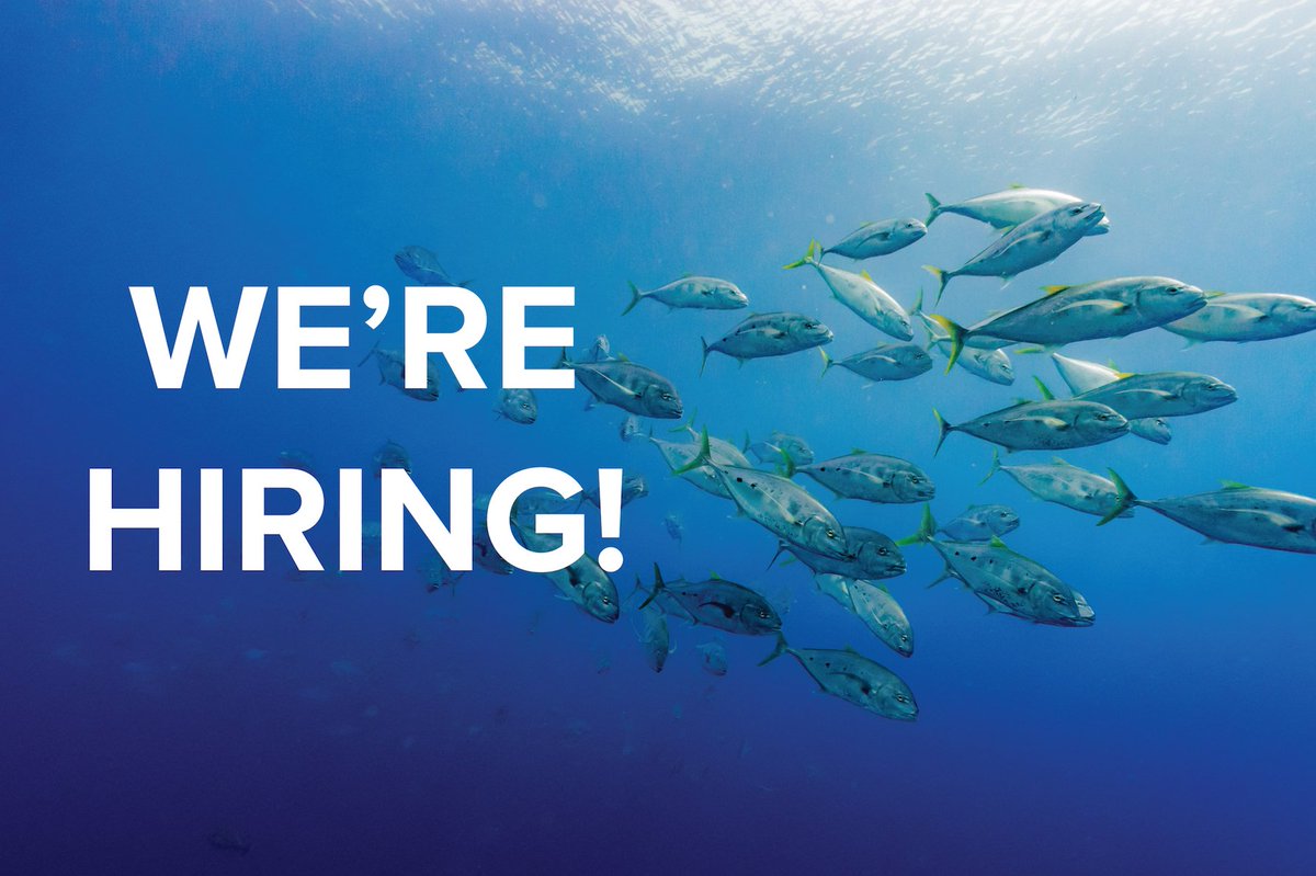 FishWiseOrg's tweet photo. We're looking for an intern to join our seafood traceability division! This is a paid, part time position based in Santa Cruz starting in May! Tag people who might be interested and apply here: https://t.co/7O0oDU90tl #sustainableseafood #fishwise https://t.co/qk6fCHVuje