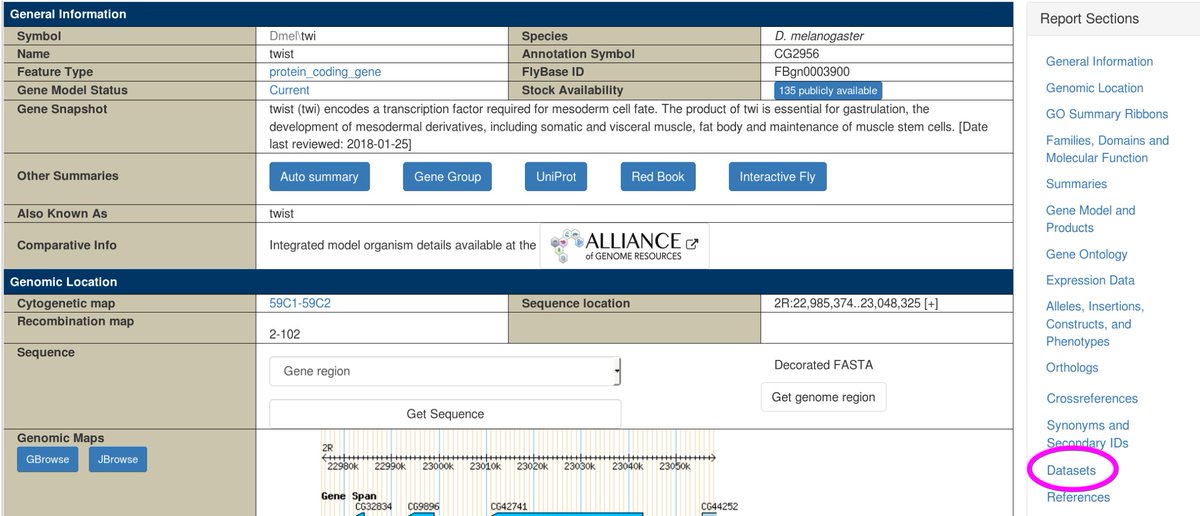 FlyBaseDotOrg's tweet photo. FlyBase introduces a new “Datasets” section in the gene report that highlights key high-throughput studies for a gene (like ChIP-Seq for twi). This section links to our redesigned dataset reports (more) https://t.co/w4iMSzx5X0