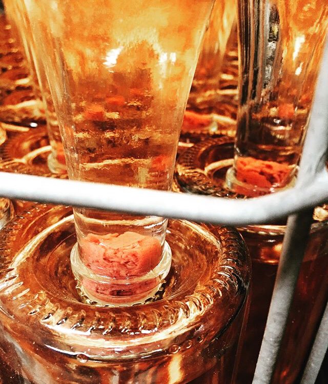EmergingVinesUK's tweet photo. Behind the scenes footage at @tuffonhall giving valuable insight into the TLC which goes into each and every bottle of #englishsparklingwine...βπΌππ½
#lees #secondaryfermentation #autolysis #yeast #tlc #methodetrad #sparklingpink
Photo Credits: @tuffonhall https://t.co/1xTn35RNT9