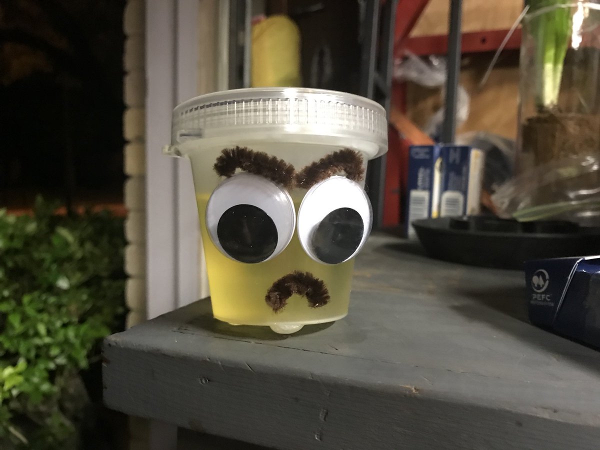 RoosterMax's tweet image. My homie needed clean pee, and I’m a good friend... even though I disapproved