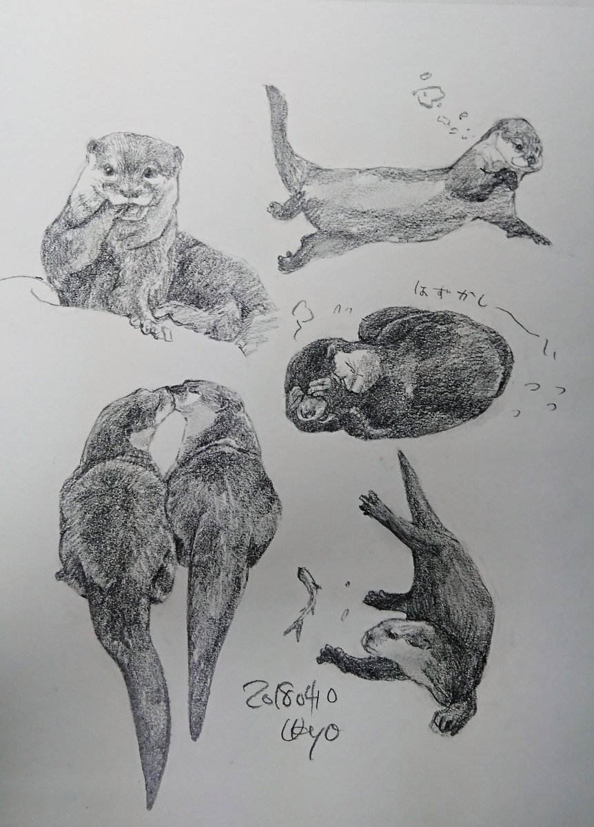 Kagetsu Ukyo 卯京 華月 V Twitter 今日の落書き カワウソづくし そして本日も遅くてゴメンなさい 落書き 鉛筆画 練習 息抜き 素描 一日一絵 今日の落書き 絵描き Art 絵描きさんとつながりたい 絵描き人 絵描きの輪 イラスト王国 イラストの Kagetsu Ukyo 卯京 華月 V Twitter 今日の落書き カワウソづくし そして本日も遅くてゴメンなさい 落書き 鉛筆画 練習 息抜き 素描 一日一絵 今日の落書き 絵描き Art 絵描きさんとつながりたい 絵描き人 絵描きの輪 イラスト王国 イラストの