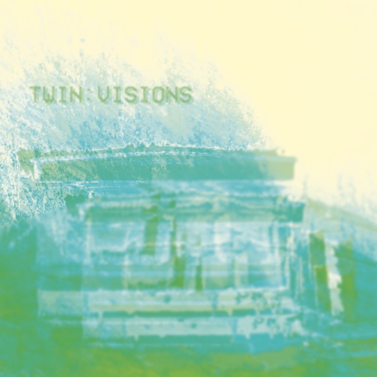 Twin Visions ♾ tweet media