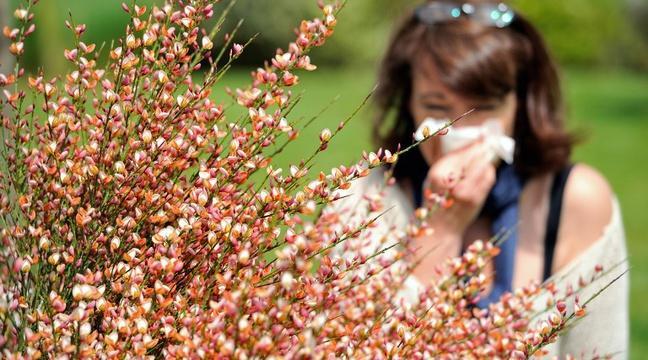 20Minutes's tweet photo. Alerte aux allergies: La douceur est de retour, les pollens aussi https://t.co/4kTCZaJadD https://t.co/S1j99Kail2