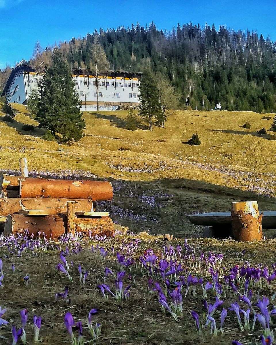 misiaczyna_'s tweet photo. Dzisiejszy poranek na Podhalu 😃 #wgorach #mountains #tatry #gory #zakopane https://t.co/jRBJY6ZIdZ