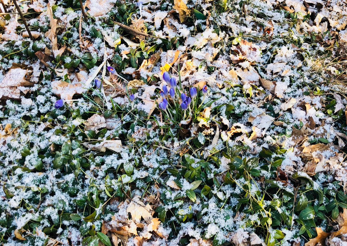 What kind of meteorological fuckery is this?
#dlws