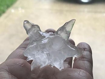 FloridaSeaGrant tweet picture