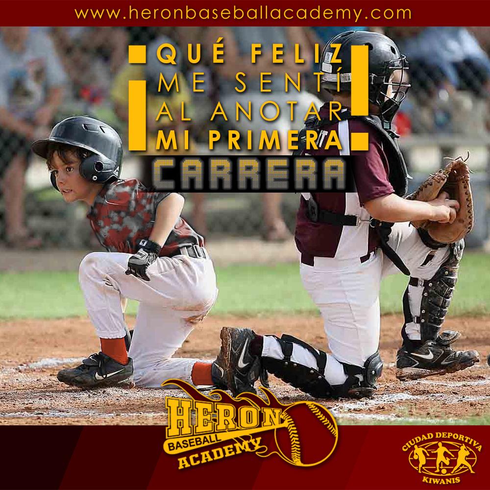 heronbaseballacademy tweet media