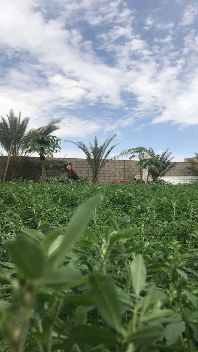 سينبتُ اللّه بين أحزانك ورداً ..

#تصويري