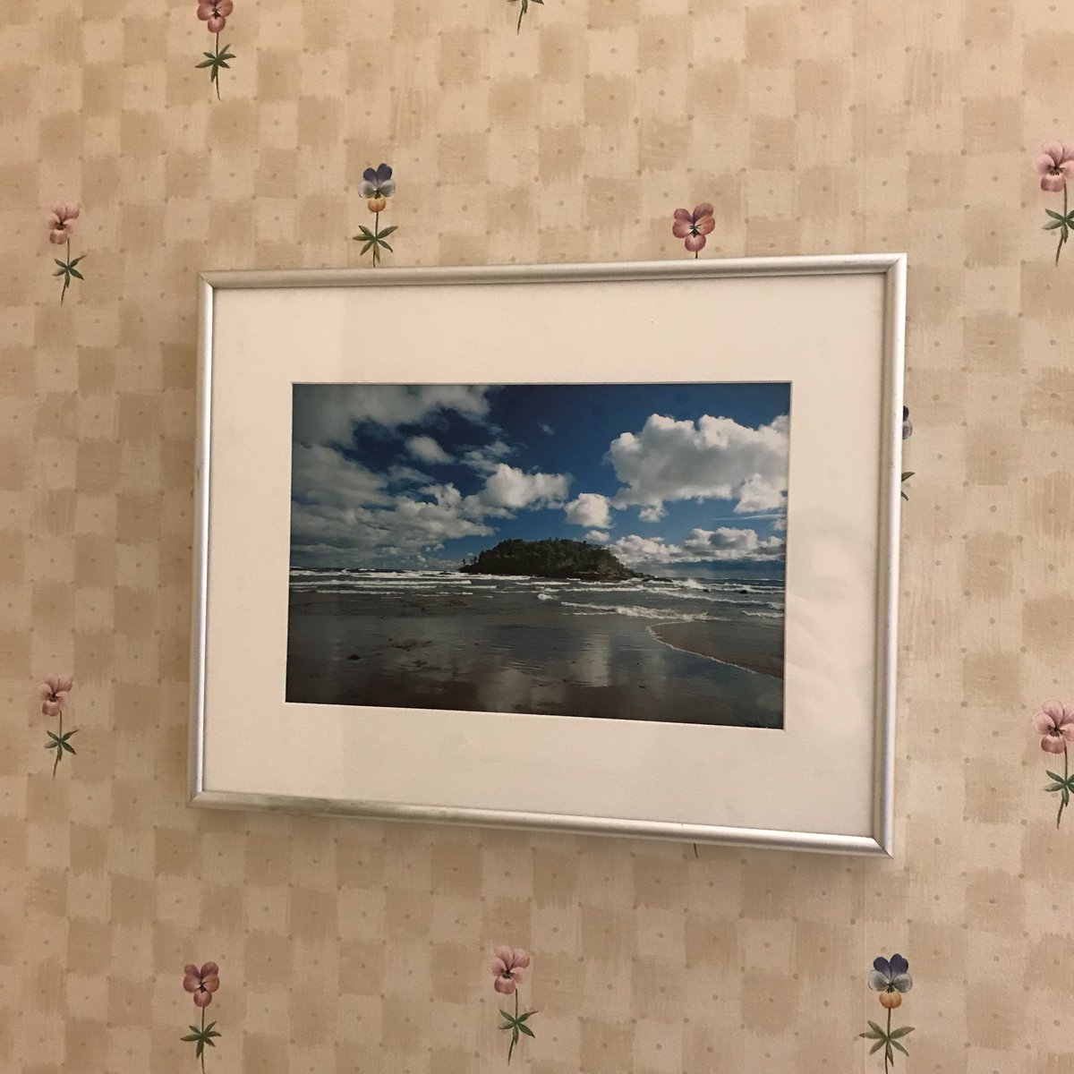 SamanthaAshby's tweet photo. You can checkout art from the #peterwhitepubliclibrary! How cool is that?? Currently enjoying this photo of #littlepresque #marquettemi #marquettemichigan #publiclibrary #pwpl #downtownmarquette #artlibrary #thingslibrary https://t.co/yBb6XHDMOx
