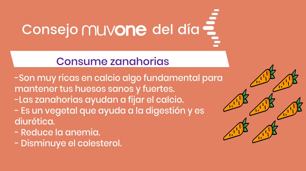 muvoneofficial's tweet photo. Consume zanahorias

Son buenas para tu piel, ayudan a la digestión, reduce la anemia, disminuye el colesterol y como no, ayudan a mantener tus huesos sanos y fuertes. 

#Prevenir la #Osteoporosis es posible con @muvoneofficial https://t.co/GDItZwUweL