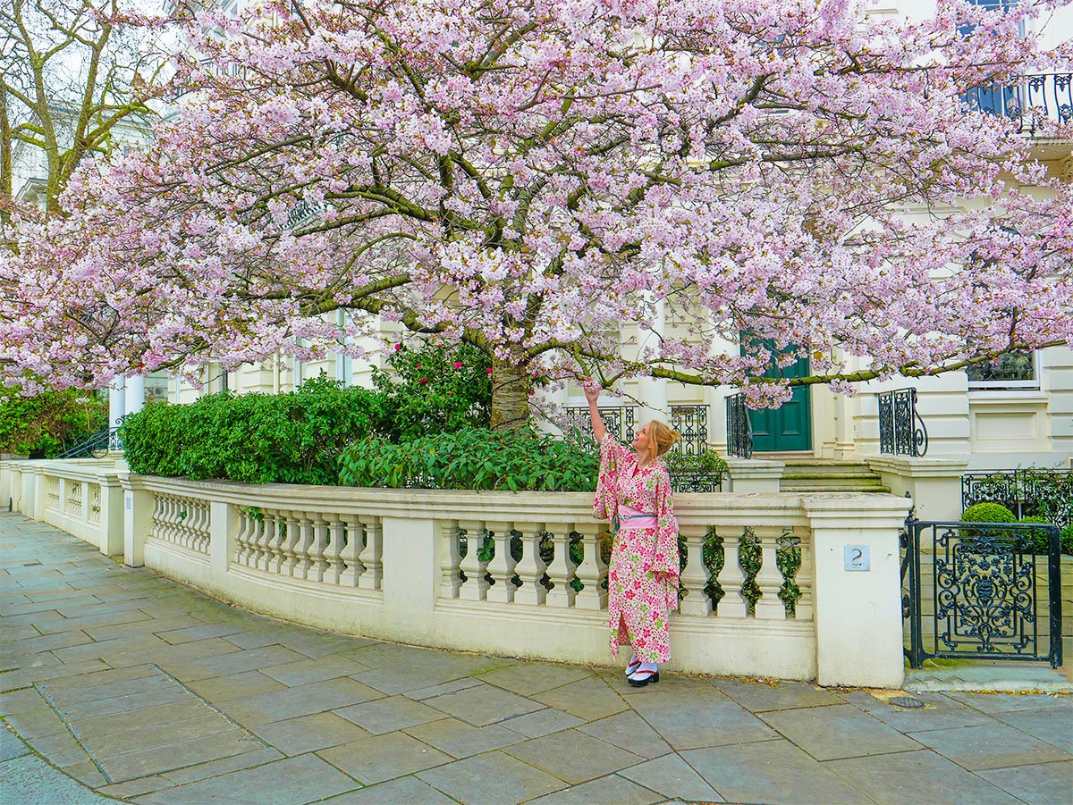 LuxuryColumnist's tweet photo. Looks like Japan but it's actually #nottinghill ! Loved the kimonos and matcha tea ceremony @WasoukanEurope 👘🌸🍵 https://t.co/PoUGiT7y75
