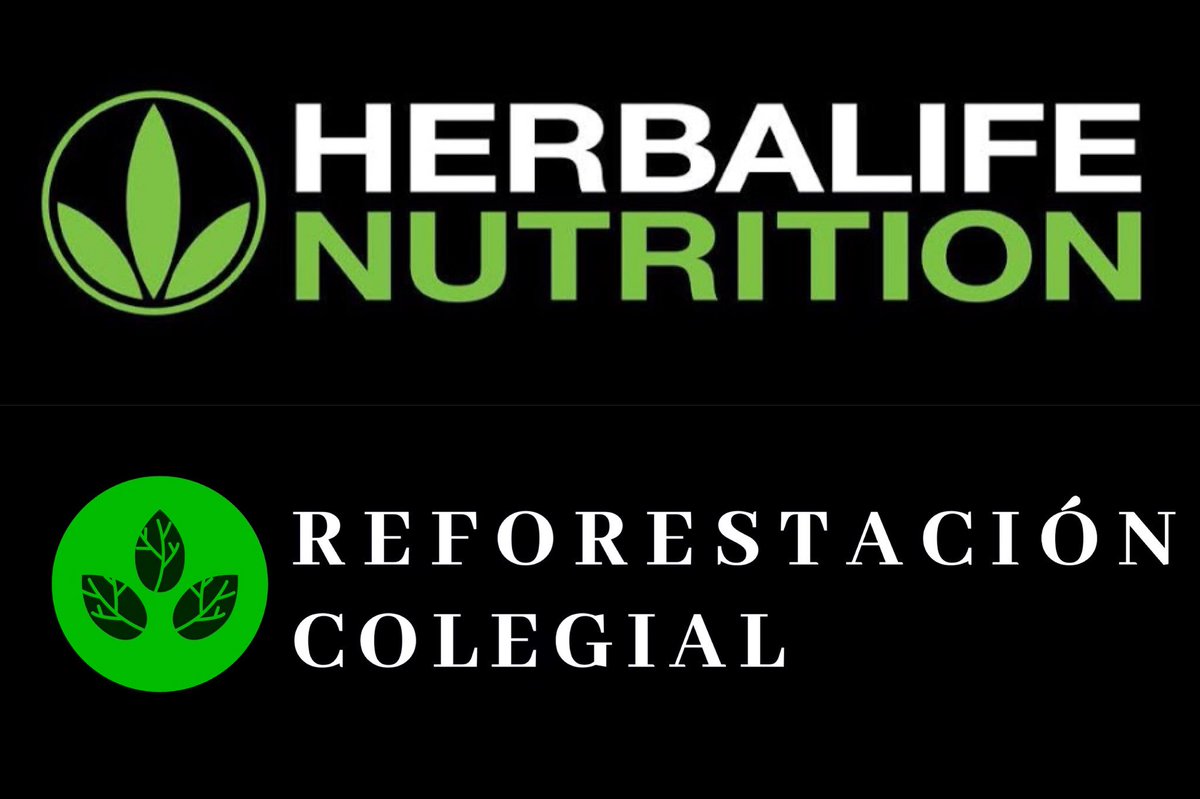 ReforestacionCo's tweet photo. ¡Logo nuevo!

La razón del cambio es porque el logo anterior se parecía al de Herbalife, lo cual derrotaba nuestro propósito ya que nosotros queremos crecer, no rebajar. 🌱🌿🌳 https://t.co/XcIrnXYlSI
