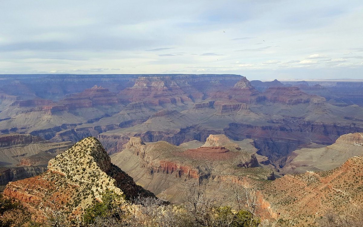 griz1's tweet photo. View of #HorseshoeMesa from #GrandviewPoint. Looks like great future hike to old #LastChance copper mine &amp; hotel. @GrandCanyonNPS @NatlParkService @GoParks @FindYourParkNPS @azhighways @ArizonaTourism @MyDesert #SpringBreak #GizaSB18 https://t.co/0HbTwHflsf