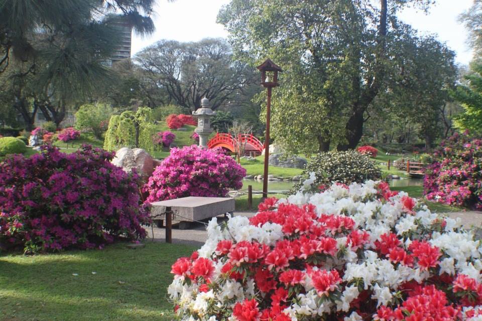 Parque 3 de Febrero tweet media