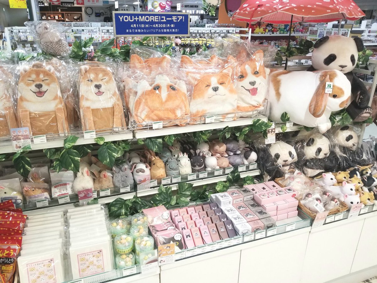 東急ハンズ名古屋店 You More フェリシモ ユーモア まるで本物みたい リアルな動物たちが大集合 かわいい 動物たちが ユニークな雑貨になってお迎えまってまぁーす 明日から8階エレベーター前にてオープン 30日までの期間限定ショップです