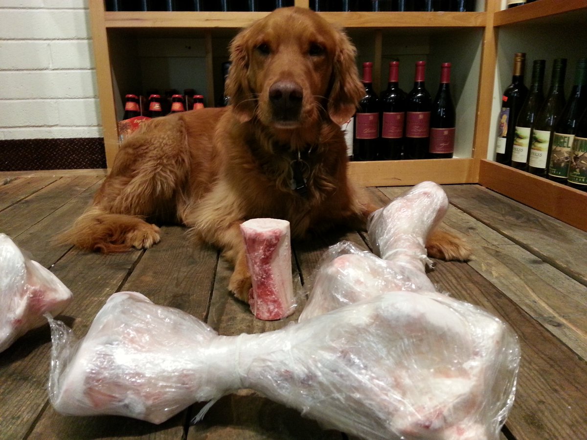Overlandmeats's tweet photo. Fresh Fish Tuesday: 1/2 PRICE Pork Chops or Marrow Bones or Country Pork Ribs$3.99lb; Roast Beef or Turkey$4.99lb; Chicken Fajitas$6.99lb; Meatloaf$9.99lb; T-Bone Steaks$12.99lb; NY Steaks$14.99lb; #FRESHHALIBUT https://t.co/g1wqHqz4AE