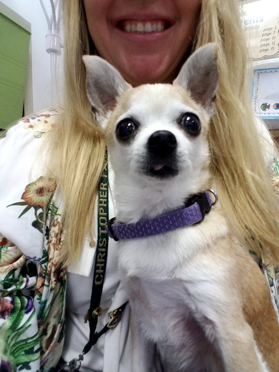 CFESMsLove's tweet photo. We learned how take care of pets today from the #VBSPCA. This little visitor, Daisy, loved the comfy reading corner. 🐾 💖🐶 https://t.co/mzGTN7pgm7