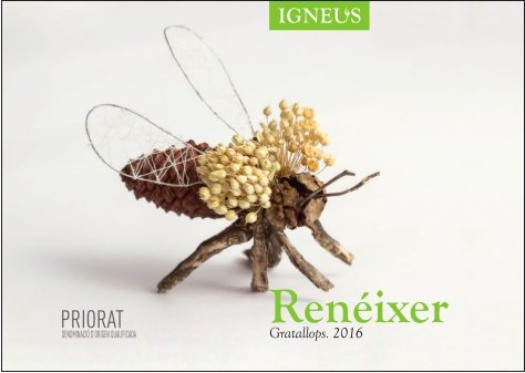 WineFrolics's tweet photo. A new beginning in @doqpriorat @MIgneus, @ToniAlbet, @SocialVignerons @WinesFromSpain @catalanwinesusa, @WineAndCavas, @doqpriorat, #igneus_priorat #priorat #masigneus #winetime #wineenthusiast #spanishwine #winesfromspain #wine #wineoclock #justwine #lovewine #winegeek #reneixer https://t.co/1mjRcrgsBI