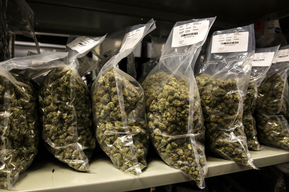 business's tweet photo. Pot stocks are quickly becoming the most actively traded shares in Canada https://t.co/EXfqmVl9vi https://t.co/FHpiQM4DEN