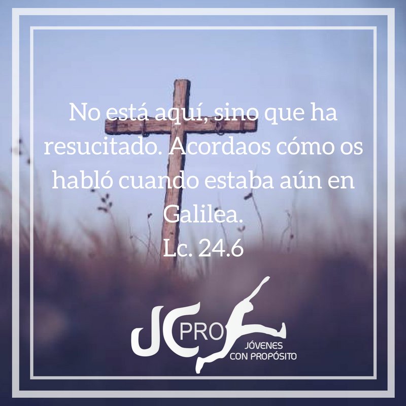JCPRO_OFICIAL's tweet photo. https://t.co/k0pqL9YoBn