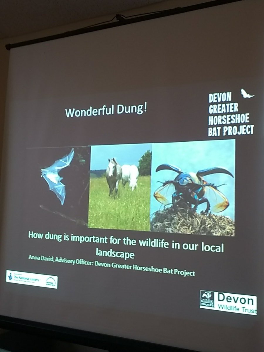 Greater Horseshoe Bat training with <a href="/devonbatproject/">Devon Bat Project</a> really useful information on bat ecology and livestock parasite control available through the project. Bat works grants available for landowners in maternity roost areas. <a href="/FWAGSouthWest/">FWAG SouthWest</a>
