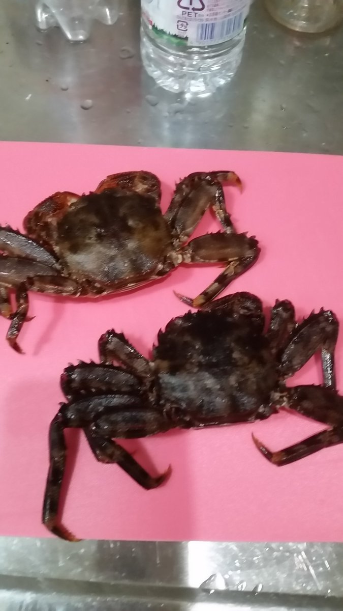 高橋せいぞん ショウジンガニで味噌汁 高橋せいぞん ショウジンガニで味噌汁