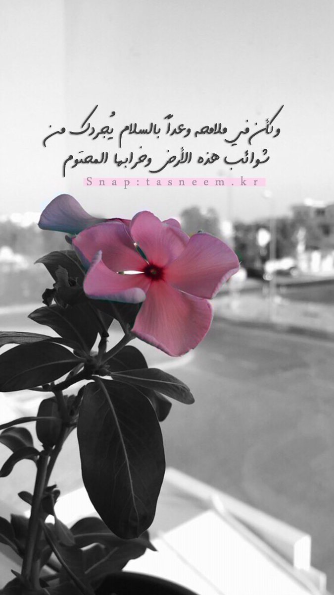 تسنيم💛💭 tweet media