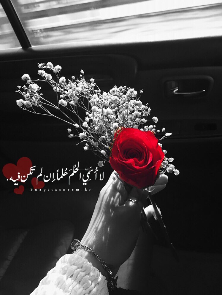 تسنيم💛💭 tweet media